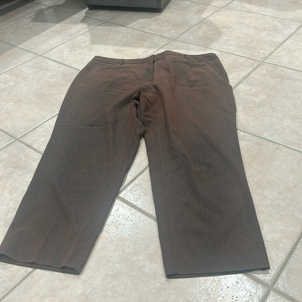 Avenue size 20 pants cropped